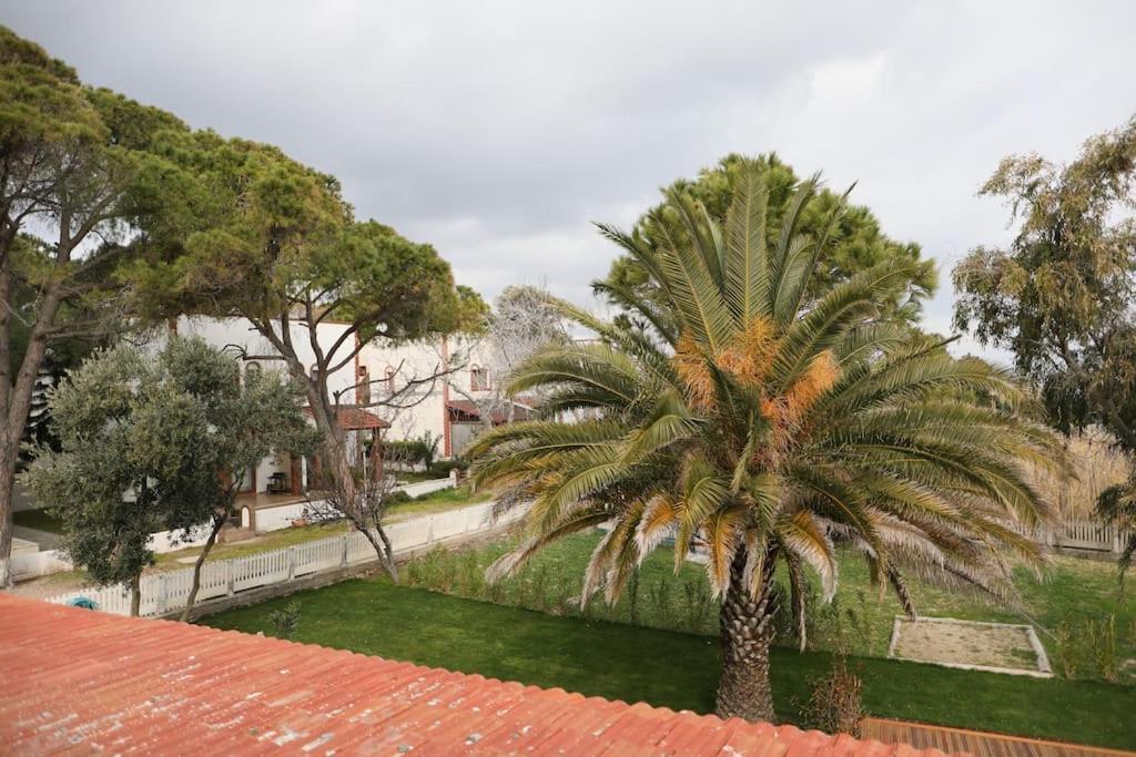 Balikliova Yfn Urla Seaside Houseヴィラ エクステリア 写真