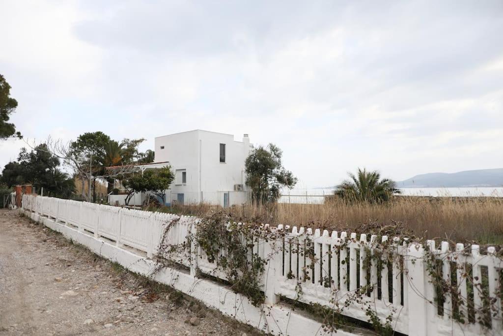 Balikliova Yfn Urla Seaside Houseヴィラ エクステリア 写真